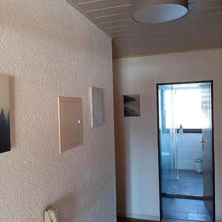 Lechwiese Allgaeu Ostallgaeu Daire